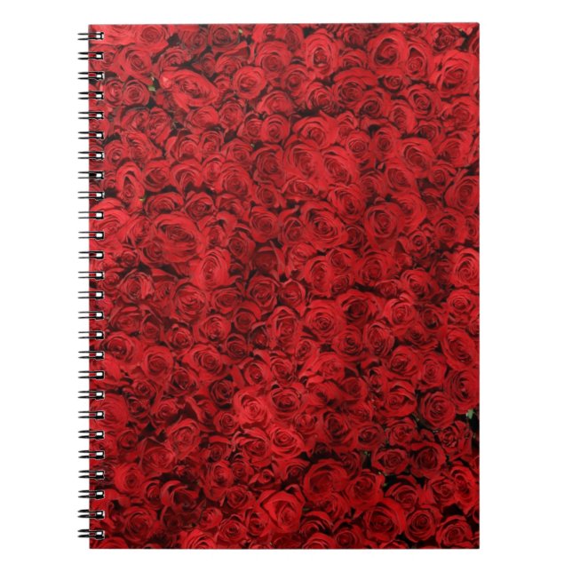 Red Rose Smash Notebook (Front)