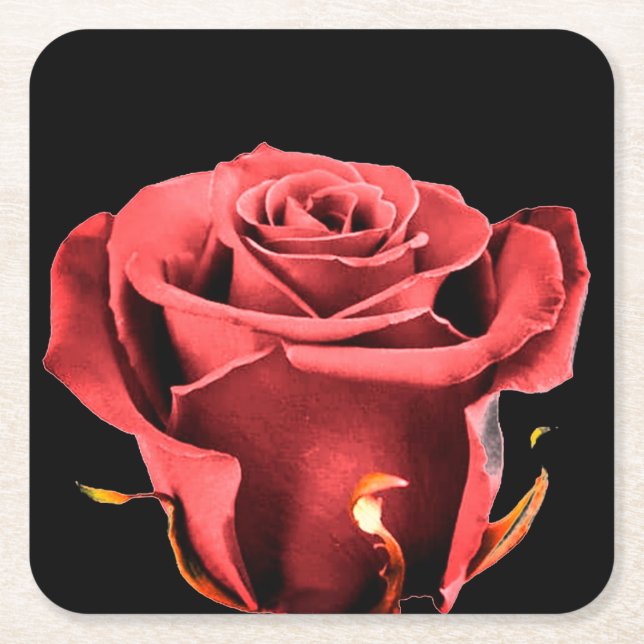 Red rose square paper coaster (Front)