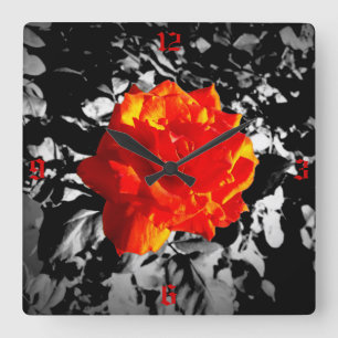 Red rose Square Wall Clock