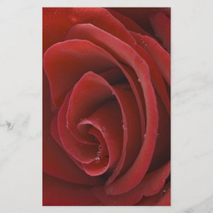 Red Rose Stationary Stationery