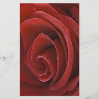 Red Rose Stationary Stationery