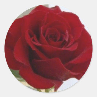 Red Rose Sticker