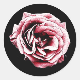 Red Rose - Sticker