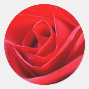 Red Rose Stickers Pink Red Rose Gifts Keepsake