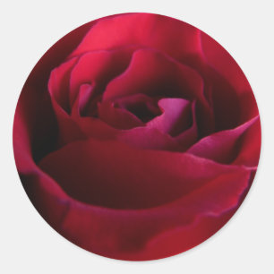 Red Rose Stickers Pink Red Rose Gifts Keepsake