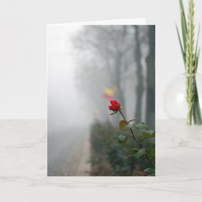 Red Rose Sympathy Card (Front)