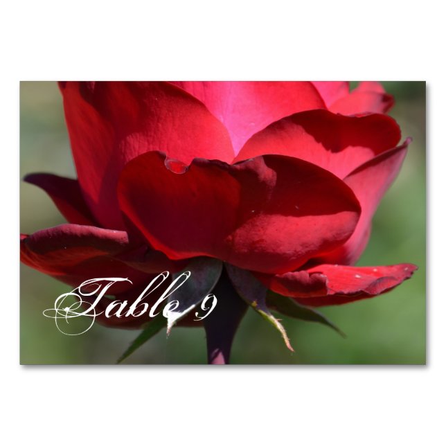 Red Rose Table Number (Front)
