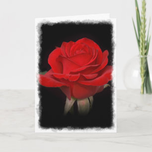 Red Rose Thank You Card