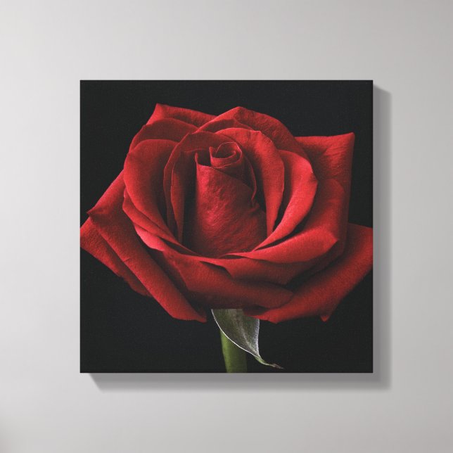 Red rose throw pillow canvas print (Front)