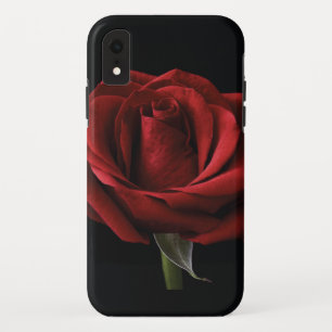 Red rose throw pillow iPhone XR case