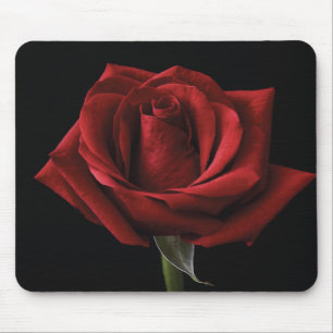 Red rose throw pillow mouse mat