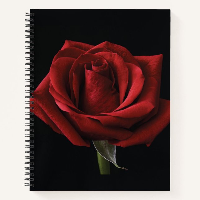 Red rose throw pillow notebook (Front)