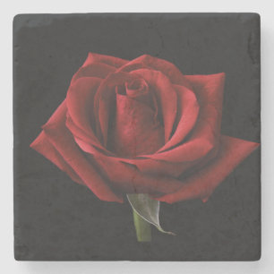 Red rose throw pillow stone coaster