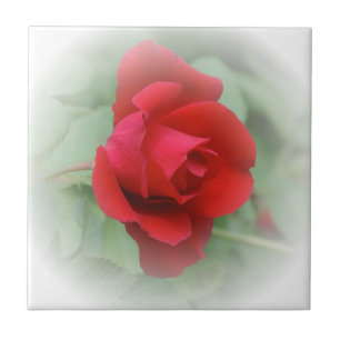 Red rose tile