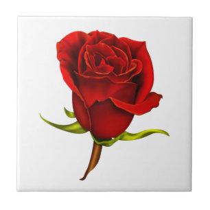 Red Rose Tile