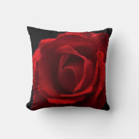 Red Rose tpcnm