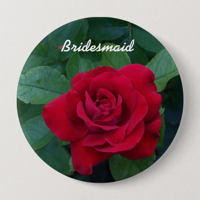 Red Rose Up Close 10 Cm Round Badge (Front)