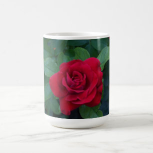 Red Rose Up Close Coffee Mug