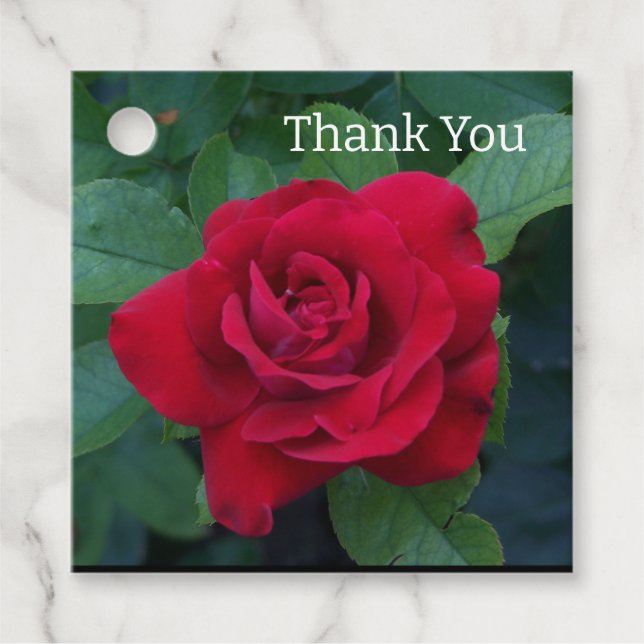 Red Rose Up Close Favour Tags (Front)