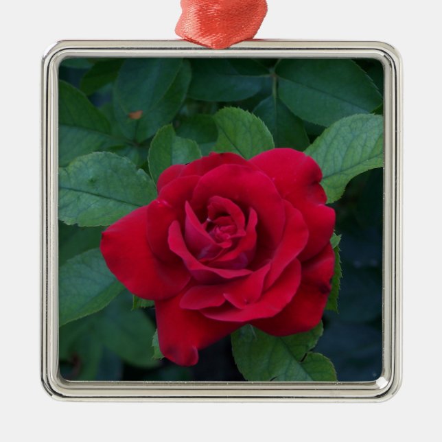 Red Rose Up Close Metal Tree Decoration (Front)