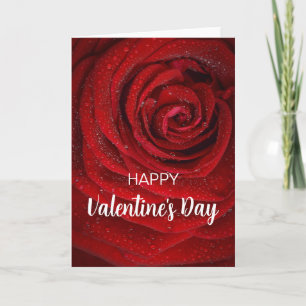 Red Rose, Valentine  Card