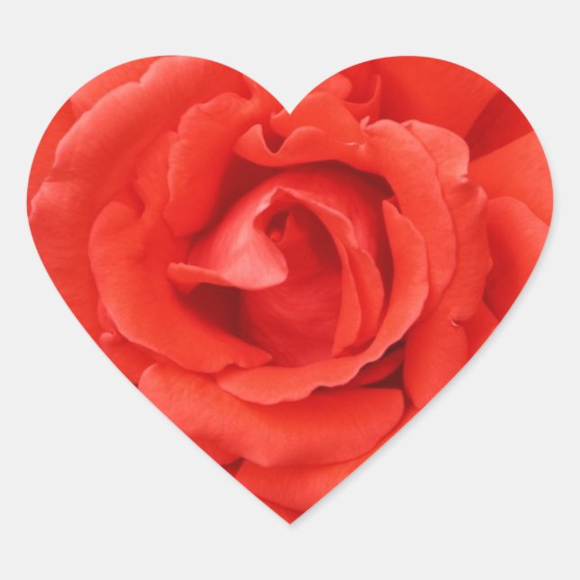 Red rose Valentine's Day Heart Sticker (Front)