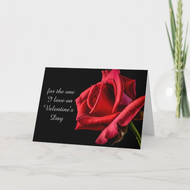Red Rose Valentine's Day Holiday Card (Front)