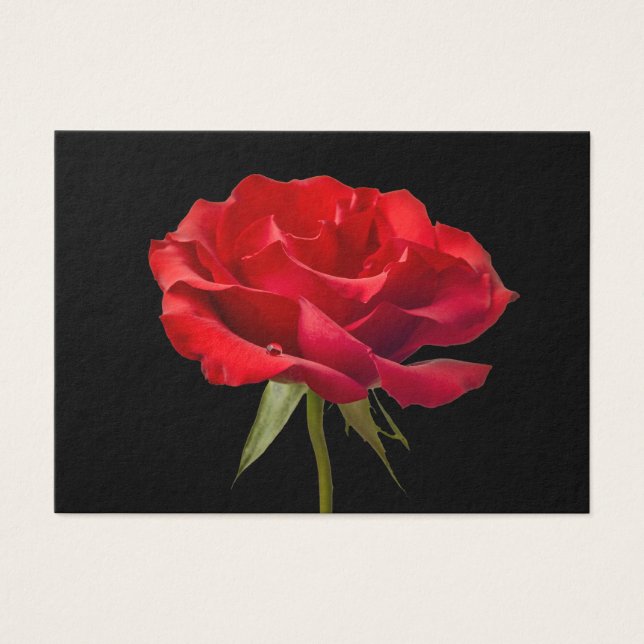 Red Rose w/ Dew Drop on Black Background Custom (Front)