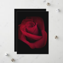 Red Rose Wedding Invitation, Save the date