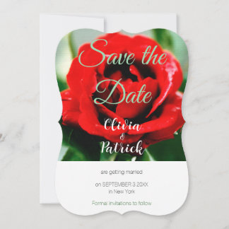 Red Rose Wedding Save the Date  Invitation