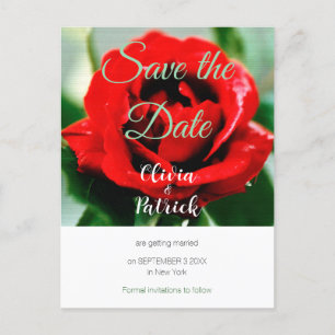 Red Rose Wedding Save the Date  Invitation Postcard
