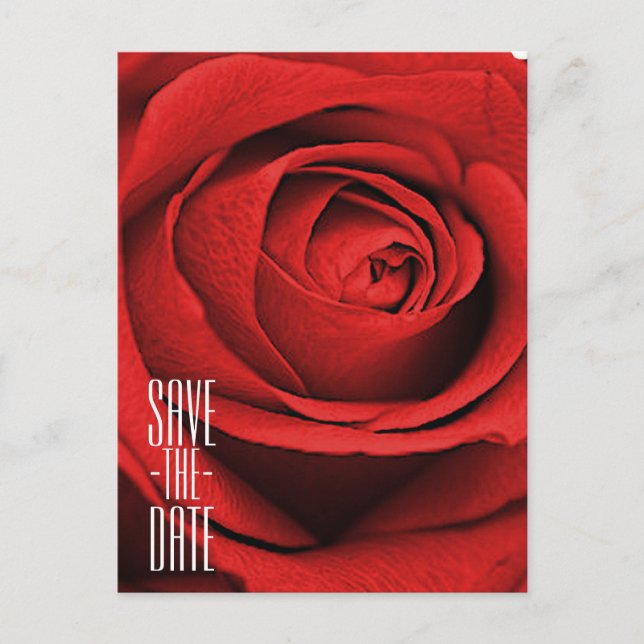 Red Rose White (Any Colour) Glam Save the Date Announcement Postcard (Front)