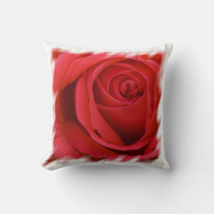 Red Rose White Border Cushion