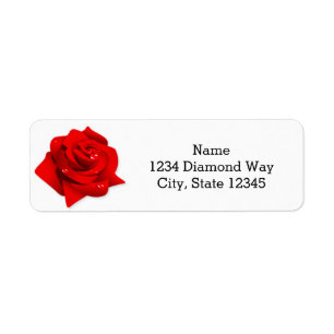 Red Rose White Elegant Chic