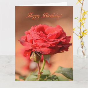 Red Rose with Bud Happy Birthday Card