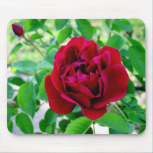 Red Rose with Bud Mouse Mat