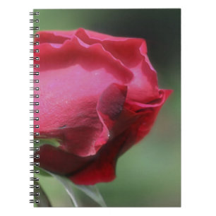 Red Rosebud Flower Nature Notebook