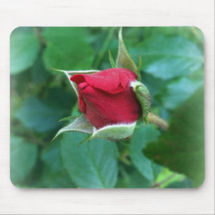 red rosebud mouse mat