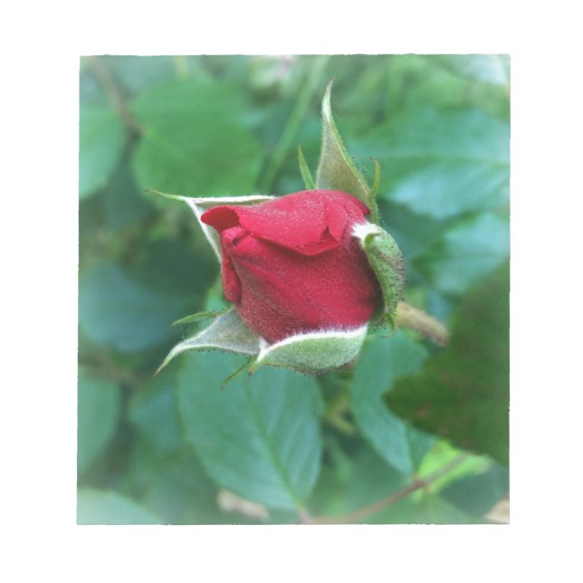red rosebud notepad (Front)