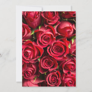 Red Roses