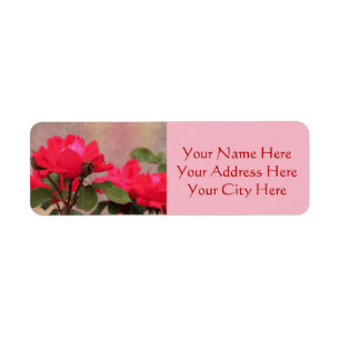 Red Roses
