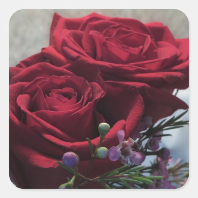 Red Roses 1a Square Sticker (Front)