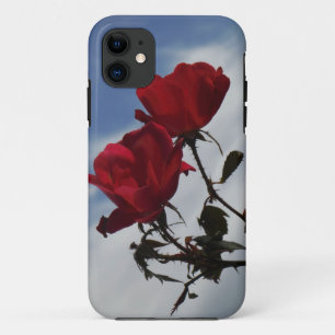 Red Roses Against a Bright Blue Sky iPhone 11 Case