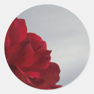 Red Roses Against a Bright Blue Sky Classic Round Sticker