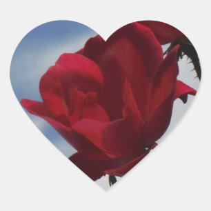 Red Roses Against a Bright Blue Sky Heart Sticker