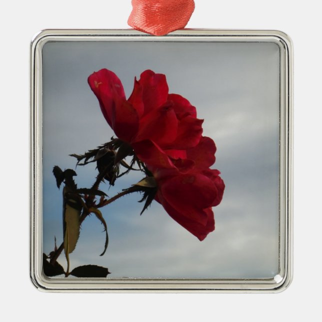 Red Roses Against a Bright Blue Sky Metal Tree Decoration (Front)