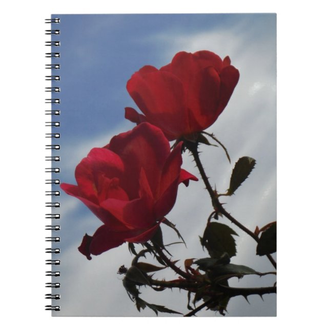 Red Roses Against a Bright Blue Sky Notebook (Front)