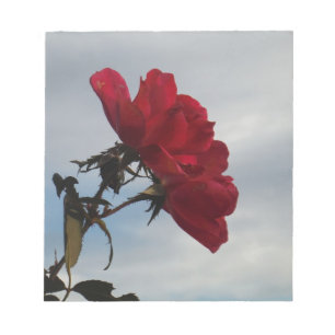 Red Roses Against a Bright Blue Sky Notepad