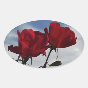 Red Roses Against a Bright Blue Sky Oval Sticker
