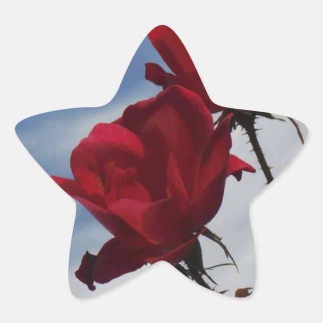 Red Roses Against a Bright Blue Sky Star Sticker (Front)
